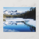 Suche nach sierra nevada berge postkarten Wald