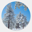 Suche nach schneebedeckte bäume aufkleber Blau
