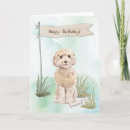 Suche nach cockapoo karten Poodmischung