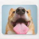 Suche nach glücklicher welpe mousepads Corgi