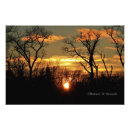 Suche nach baum silhouetten poster Bunt