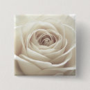 Suche nach rosenknopf Blumen