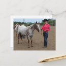 Suche nach appaloosa postkarten Schön
