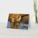 Suche nach niedliche löwen karten Entzückend