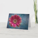 Suche nach roter gerbera karten Blüte