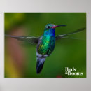 Suche nach floating poster Vogelbeobachtung