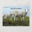 Suche nach isle of skye postkarten Landschaft