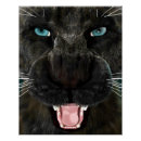 Suche nach black panther poster Katze