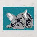 Suche nach nicht reinrassig postkarten Hund