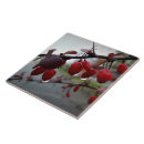 Suche nach wolke himmel fliesen Rot