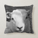 Suche nach lamb kissen Tiere