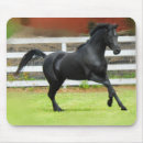 Suche nach pferdeartig mousepads Stallion
