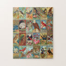 Suche nach antike vögel puzzle Natur