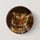 Suche nach niedlicher tiger buttons Tier