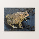 Suche nach toad puzzle Natur