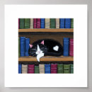 Suche nach katzenbild poster Bücherregale
