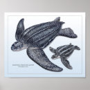 Suche nach jugendlicher poster Natur