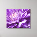 Suche nach abstrakte fotografie leinwandbilder Blume