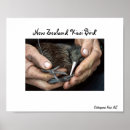 Suche nach seeland poster Kiwi
