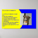 Suche nach nur jugendliche poster Haustiere