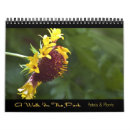 Suche nach kegel blume Natur