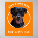 Suche nach rottweiler hund poster Jede person