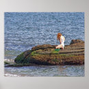 Suche nach kleine meerjungfrau poster Für alle