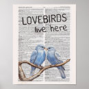 Suche nach lovebird poster Liebling