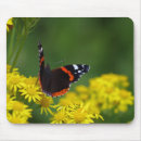 Suche nach rote schmetterlinge mousepads Für alle