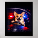 Suche nach lustige auto poster Meme