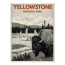 Suche nach in yellowstone poster Bison