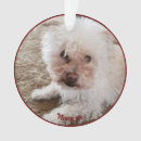 Suche nach herzform ornamente Jede person