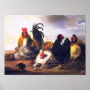 Suche nach vintage animal poster Natur