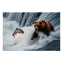 Suche nach lachs poster Freund