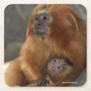 Suche nach niedlicher affe untersetzer Tiere