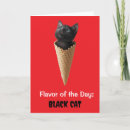Suche nach black cat karten Lustige katze
