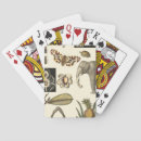 Suche nach gemalt spielkarten Schmetterling