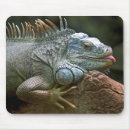 Suche nach leguane mousepads Tier