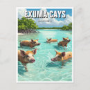 Suche nach exuma Schweine