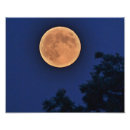 Suche nach mond foto poster Blau