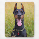 Suche nach pinscher mousepads Tier