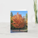Suche nach bunter baum karten Farbe