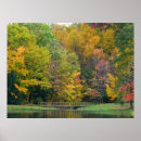 Suche nach herbstlandschaft poster Wald