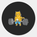 Suche nach weightlifter aufkleber Fitness