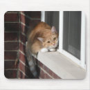Suche nach orange katze mousepads Für alle