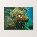 Suche nach nautisch puzzle Für alle