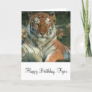 Suche nach sibirischer tiger karten Wild