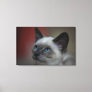 Suche nach frankreich leinwandbilder Horizontal