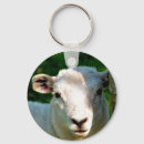 Suche nach niedliches lamm schlüsselanhänger Tiere