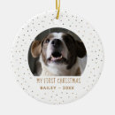 Suche nach hund im schnee ornamente Hunde